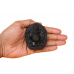 Ganesha Shaligram Murti