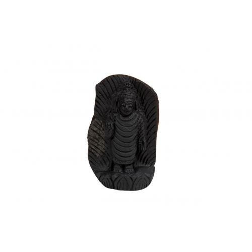 Lord Buddha Shaligram Murti