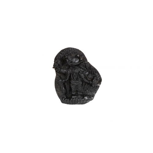 Varaha Shaligram Murti - iii