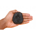 Krishna Shaligram Murti