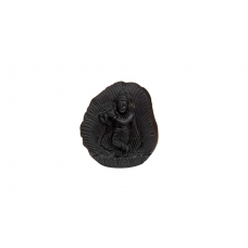 Krishna Shaligram Murti