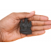 Hayagreeva Shaligram Murti - iii