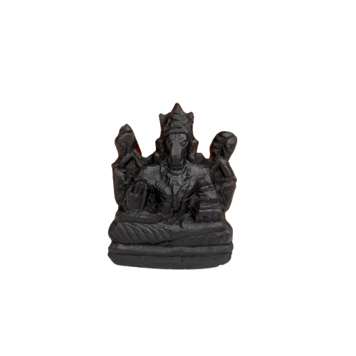 Hayagreeva Shaligram Murti - vii