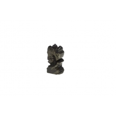 Kurma Shaligram Murti - iii