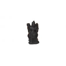 Arayan Shaligram Murti - iv