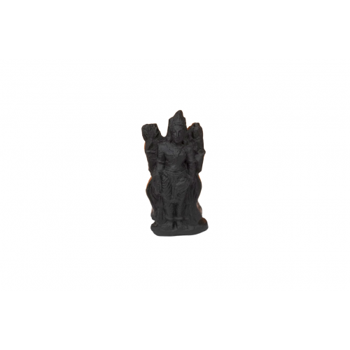 Arayan Shaligram Murti - iv