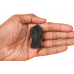 narayan-shaligram-murti-v