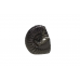 Balrama Shaligram Murti