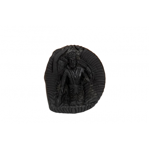 Balrama Shaligram Murti