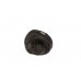 Lakshmi Narayan Shaligram Murti