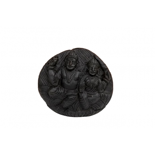 Lakshmi Narayan Shaligram Murti