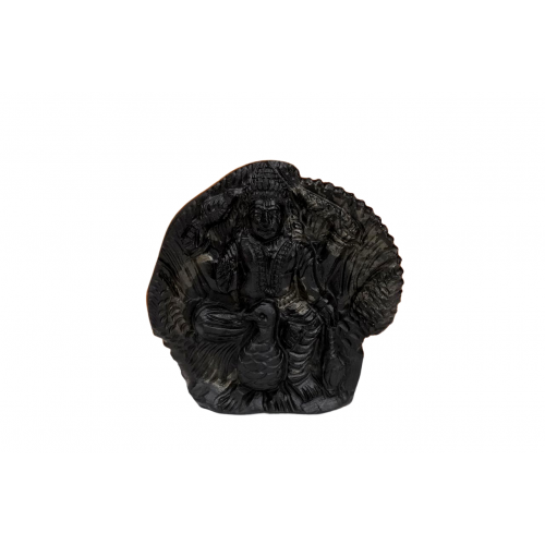 Kartikeya Shaligram Murti