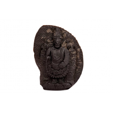 Tirupati Balaji Shaligram Murti - xxviii