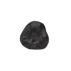 Tirupati Balaji Shaligram Murti - xxi