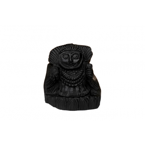 Agannath Shaligram Murti