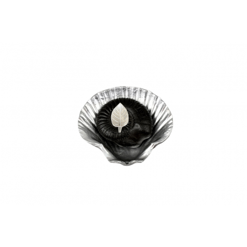 Laxmi Narayana Shaligram