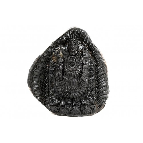 Tirupati Balaji Shaligram Murti - xxvi