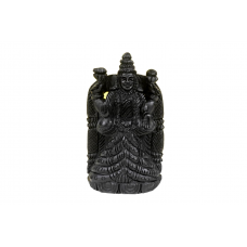 Maa Padmavati Shaligram Murti