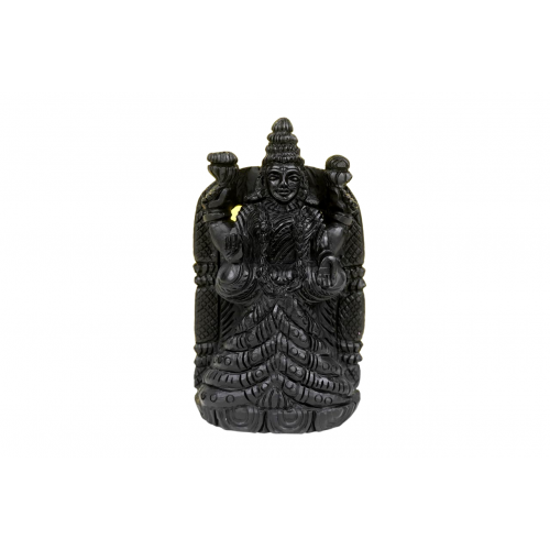 Maa Padmavati Shaligram Murti