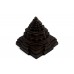 Shaligram Meru Shreeyantra - xxiv