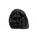 Baglamukhi Shaligram Stone Murti