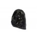 Baglamukhi Shaligram Stone Murti