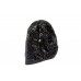 Baglamukhi Shaligram Stone Murti