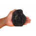 Ram Darbar Shaligram Murti