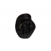 Ram Darbar Shaligram Murti