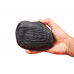 Vishnu Charan Shaligram Murti - i