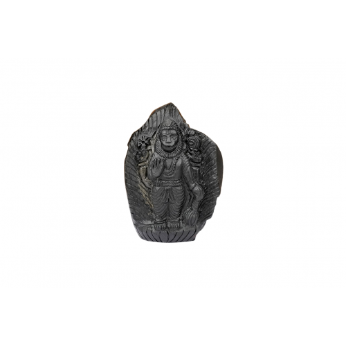 Narasimha Shaligram Murti - iv