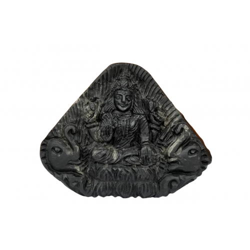 Gajalaxmi Shaligram Shaligram Murti - i