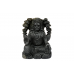 Padmavati Shaligram Murti - iii