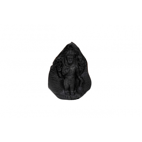 Narasimha Shaligram Murti - iii