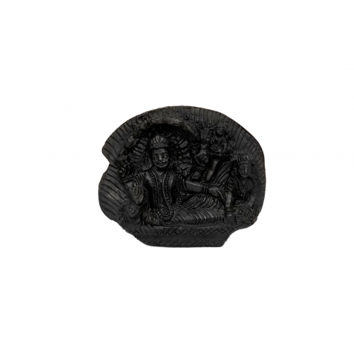 Vishnu Laxmi Shaligram Murti - vi