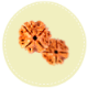 4 Mukhi Nepal Rudraksha